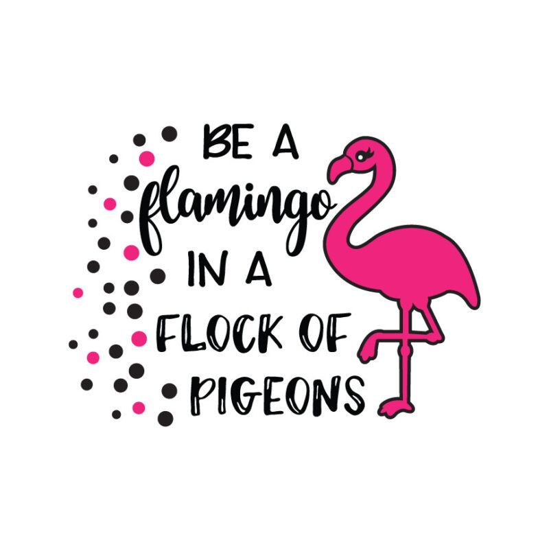 Be A Flamingo In A Flock Of Pigeons