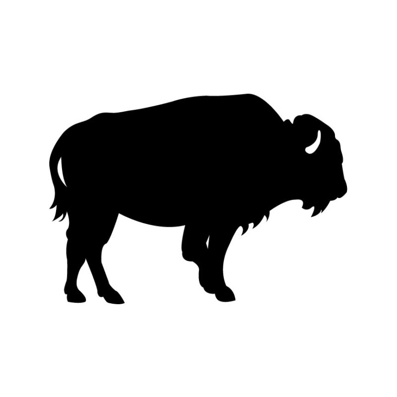 Buffalo