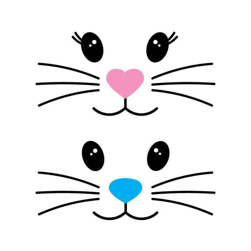 Boy and Girl Bunny Face