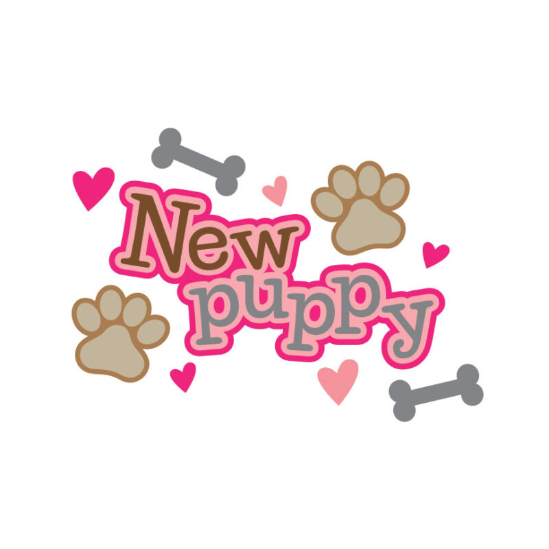 New Puppy