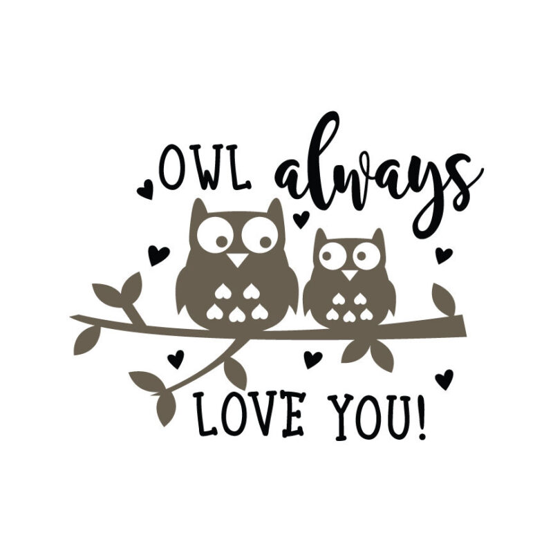 Owl Always Love You