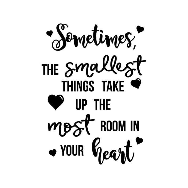 Sometimes The Smallest Things...