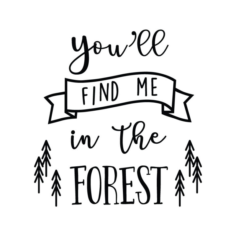 You'll Find Me In The Forest