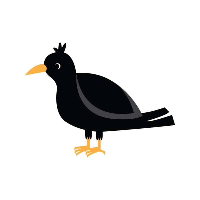 Crow SVG