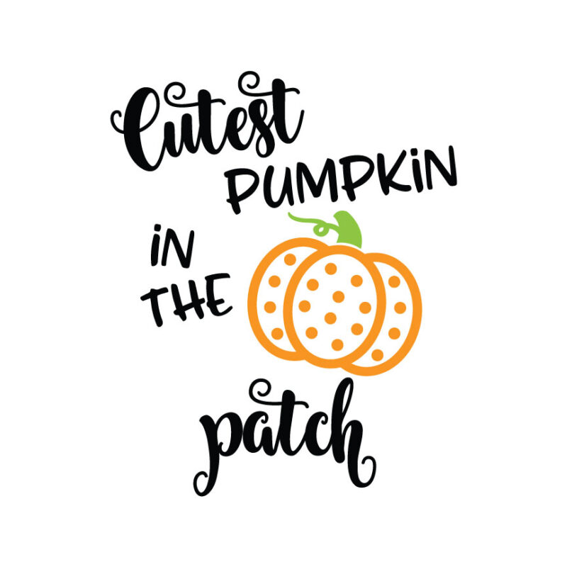 Cutest Pumpkin In The Patch