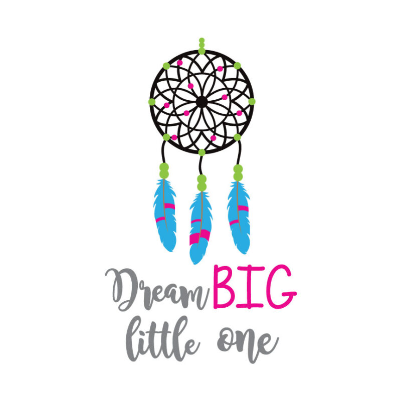 Dream Big Little One