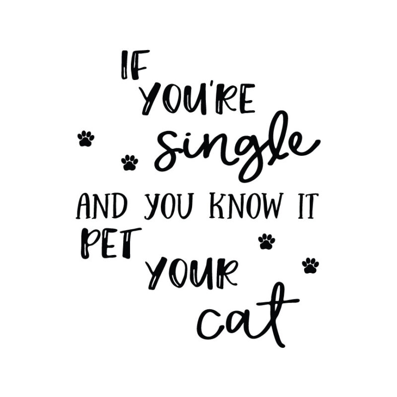 If You're Single And You Know It Pet Your Cat SVG