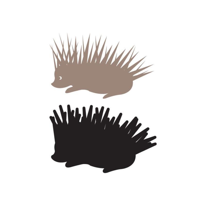Porcupine