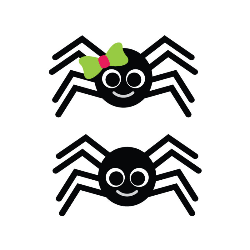 Spiders
